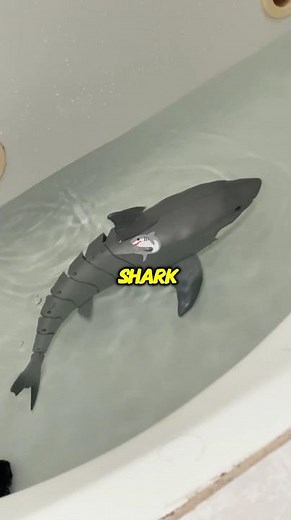 🏊‍♂️🌊 Swim Away from Boring Toys! Meet the Robo Alive Shark! 🦈✨ #RoboAlive #ZURU