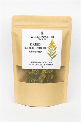 Wildcrafted Dried Goldenrod (solidago Spp.) – 5g Package | Hand Harvested & Naturally Dried | Weldonwood Farm - Etsy