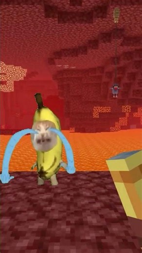 バナナ猫のニワトリを助けよう #マイクラ #猫ミーム #bananacat