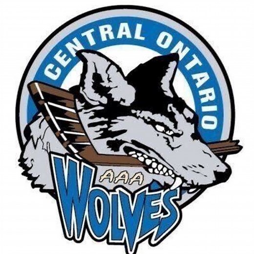 Central Ontario Wolves U16 AAA • Home