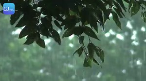 18M views · 358 reactions | Continue "The 7 Days of Sleep" by downloading the free Calm app. "App of the Year" - Apple  "World's Happiest App" - Humane Tech  | Calm | Facebook