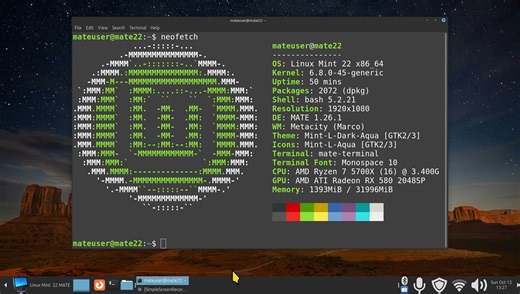 Linux Mint 22 - MATE - Resizing the Small Mint Menu Icon & Menu Tips.