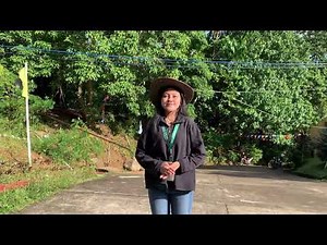 Organic Chemistry: Module 6 (Case Study 1) Molasses in Organic Farming