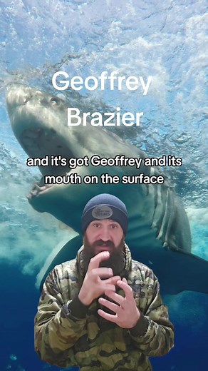 Horror at Sea: The Terrifying True Story of the Matrix Cruise