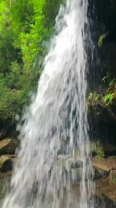 13K views · 2.8K reactions | “Not another waterfall!!” said No Traveler Ever… Spend the day hiking beautiful Grotto Falls Trail in the Great Smoky Mountains! Meander through an old-growth hemlock forest as you make your way behind a 25 foot high waterfall! If you’re lucky, you might even see the llama train passing by! | MobileBrochure | Facebook