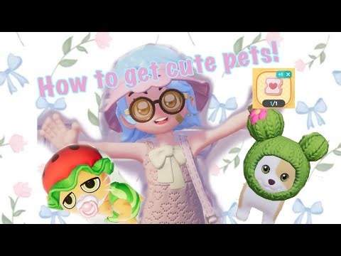 How to get pets in heartopia!