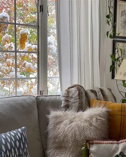 A House Wren on Reels