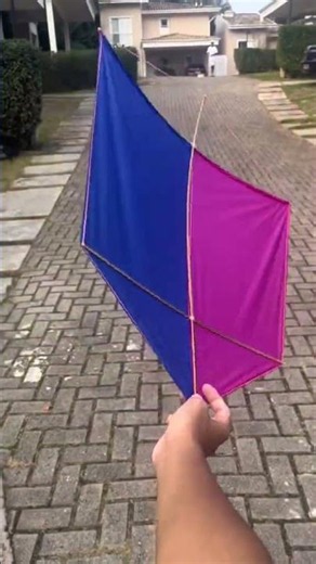 #pipas #resenhando #shortsbrasil #memes #viral #kite #youtubebrasil #humor #pipacombate #fly