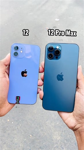 iPhone 12 Vs iPhone 12 Pro Max || Camera Zoom Test! #shorts