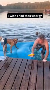 2.7K views · 80 reactions | Dogs really know how to have fun. | Funny Pets | Facebook