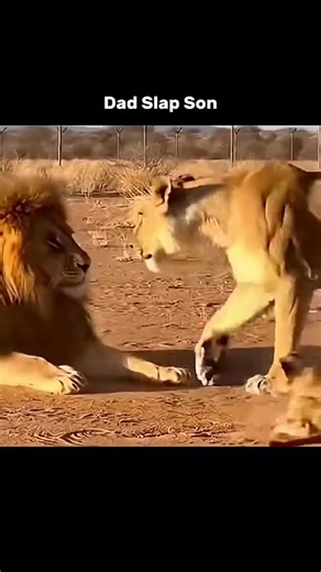 Funny Football Moments Compilation