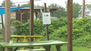 Detroit urban farms begin to get financial support while helping those in food deserts