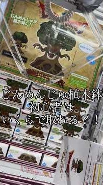【クレーン】じんめんじゅ植木鉢初心者はいくらで獲れる？？！ #shorts