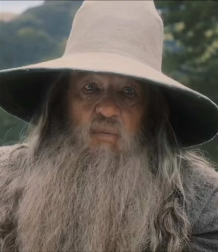 Gandalf so tough 😬#hobbit #gandalf #viral #fyp