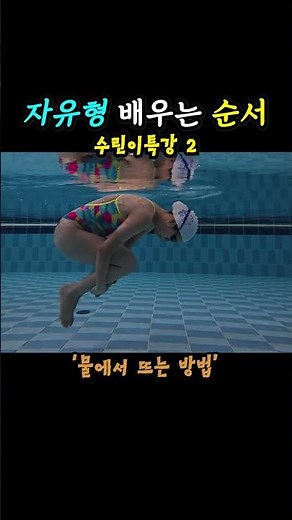 자유형 배우는 순서 #수영기초 #자유형기초 #자유형순서 #수린이특강 #자유형특강 #랑다이브 #swimming