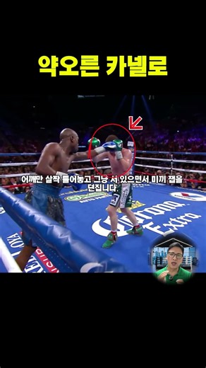 메이웨더의 회피 기술 #복싱기술 #복싱분석 #메이웨더 #카넬로 #40대아재복서