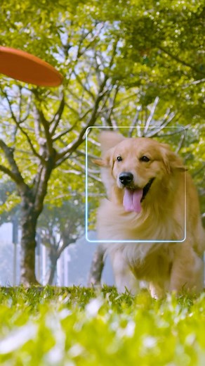 @insta360 on Instagram: "What if you never had to edit a 360 video again?  Meet the new and improved Auto Frame! Available in the Insta360 app and Studio, Auto Frame uses AI to analyze your 360 footage, find the best bits, then produce a bunch of reframed edits. We’ve souped it up with some serious algorithm improvements so it is banging out  clips with ease! Try it now with your Insta360 camera! #Insta360 #autoframe"