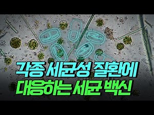[핫클립] 각종 세균성 질환에 대응하는 세균(박테리아) 백신 / YTN 사이언스