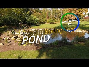Beautiful spring fed pond in West Chester, PA