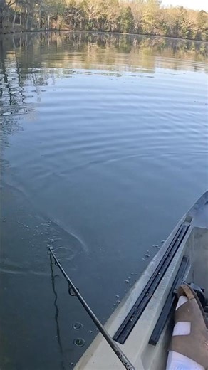 Almost lost my st croix rod 😬 #scary #bassfishing #brokenrod #bigfish