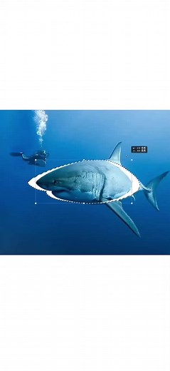 How do you make sharks not scary #drawing