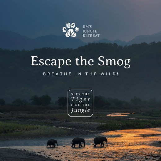 Escape the smog, breathe in the wild! 🌿 While Delhi's AQI leaves you gasping, Jim's Jungle Retreat in Corbett offers the purest breath of fresh air. Reconnect with nature and refresh your senses. 🌳 | Jim's Jungle Retreat