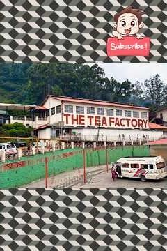 chocolate & Tea factory 🏭
