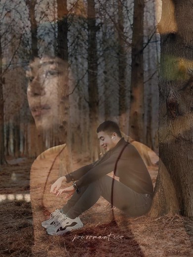 Exploring Serenity in a Forest: A Personal Reflection