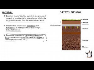 #ELUVIATION | Fundamental Pedogenic process |
