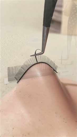 ✨ Wet Set Tutorial ✨
