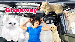 294K views · 8.5K reactions | last giveaway winners നെ കാണാൻ...