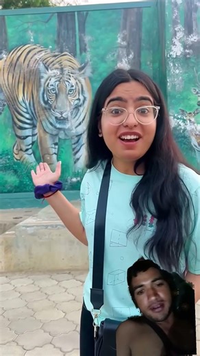 watch full vlog of jungle safari