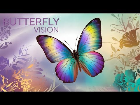 The Ultraviolet Light Vision of the Butterfly