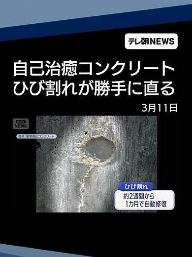 新しい防災の形: 自己治癒コンクリートの可能性