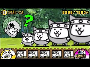 ネコ忍者vsムササビネコ忍者、忍者なネコが喋りながら最強の忍者を決める動画【厳選まとめ15選】 にゃんこ大戦争