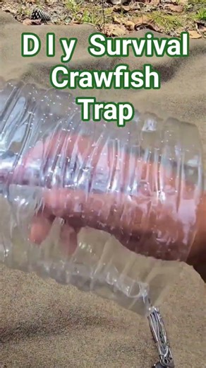 Diy survival crawfish trap #prepping #bushcraft #crawfishtrap #survival