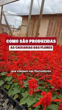 How are flower boxes produced?