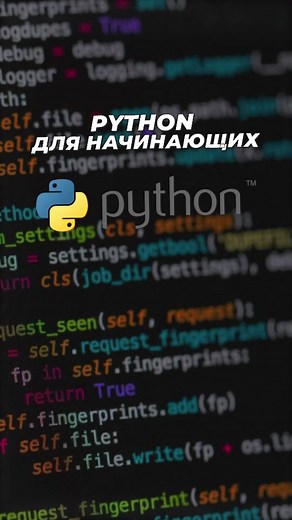 Изучение Python: Простой старт для начинающих