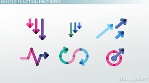 Terminology for Disorders of Muscle Function