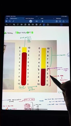What is HCT (Hematocrit)? | Blood Report Explained Simply