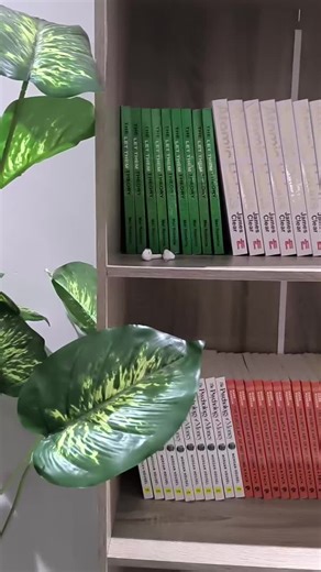 🔥 BIG BOOK SALE!New stock available from P100 – P220 📚Business, motivation, psychology & success books.📍 Ledumadumane (Opposite Block 7)📞 77828008