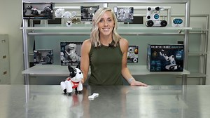 Watch Sharper Image RC Toy Duke The Trainable Robotic Puppy Dog on Amazon Live