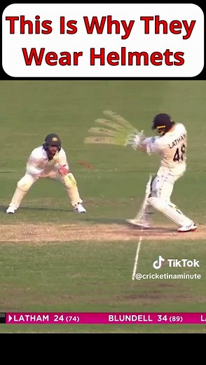 Cricket in a Minute on TikTok