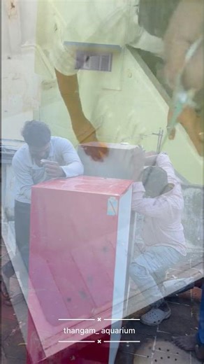 Fridge box setup 🤩 Monsters fish / guppy breading / Thangam Aquarium Madurai 🐬