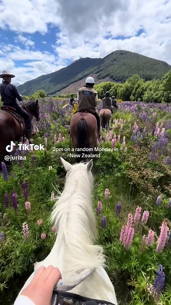 Horse Riding Adventures in Isengard, New Zealand