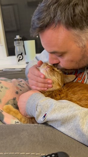 7.7K views · 725 reactions | Omg Cheddar is SO cute!!! 李李 #muskratnation #cheddar #love #lovebug #adorable #cat #cats #catsofinstagram #instacat #catstagram #adorable #cute #cutenessoverload #adorableaf #gingercat #thedodo #buzzfeedanimals #pawsup #catdad #catdadsworldwide | Muskrat Nation | Facebook