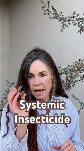 Bagworms 🐛on Your Trees/Bushes? Systemic Insecticide Solution// Campbell’s Freedom Farm