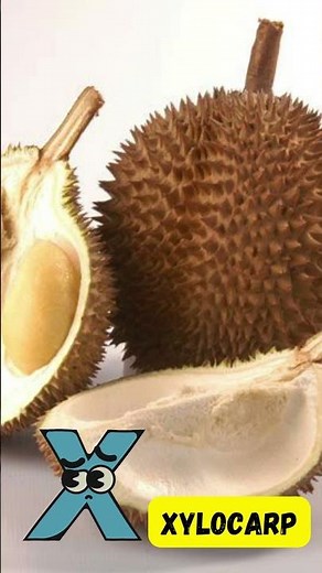 The X Song 🎶 | Explore Fun X Words for Kids | #abcd #kids #shorts #viralvideo #learning
