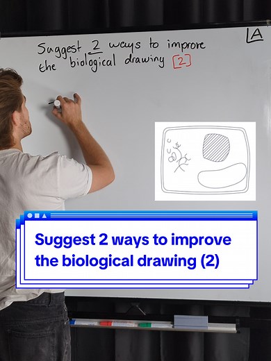 Enhance Your Biological Drawing Techniques