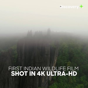 Experience India’s Wildlife like never before. Shot over 4 years by award winning photographers and film-makers, narrated by top celebrities and music by award winning musician | discovery